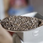 Top 5 Health Benefits of Chia Seeds You Need To Know