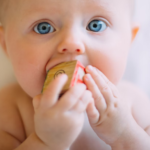 Baby First Food Months Pregnancy Healthhyme