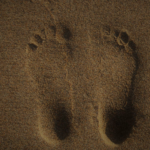 Reflexology Fundamental Principles