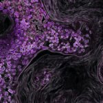 Ovarian Cancer Healthhyme