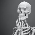 Spinal Cord Facts
