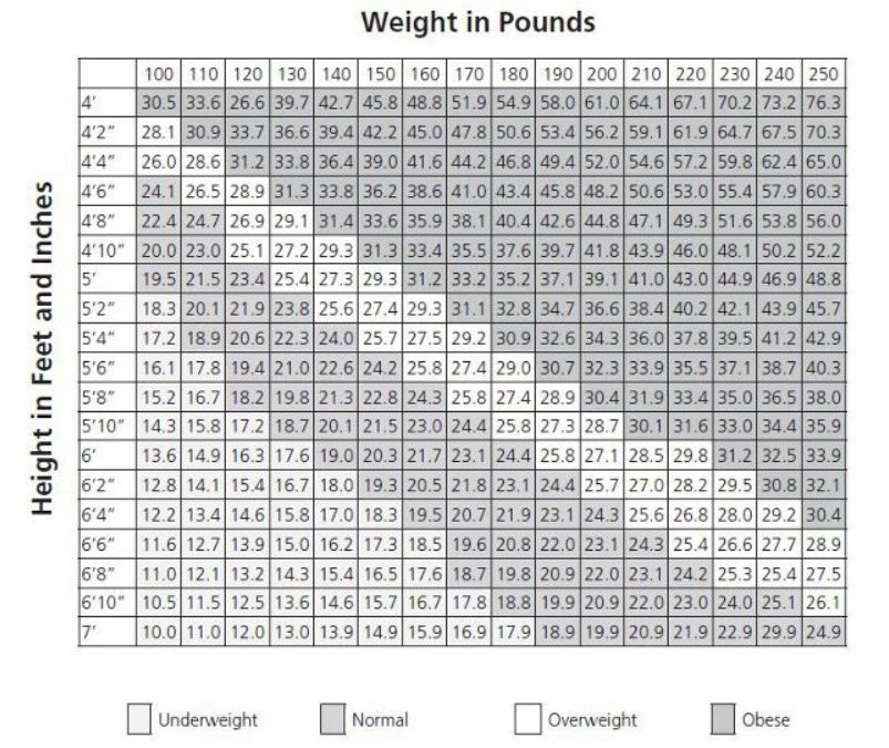 BMI Chart Healthhyme