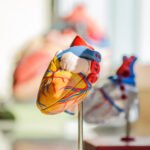 Heart Health