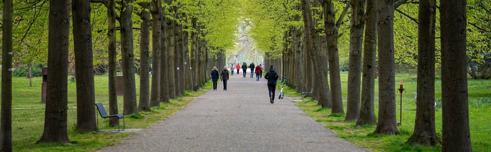 Walking or Jogging